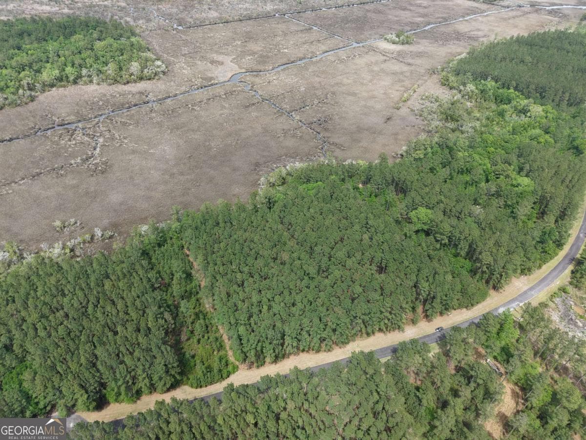 residential lot for sale at LOT 43 La Sole Lane, Waverly, GA 31565 — photo 6