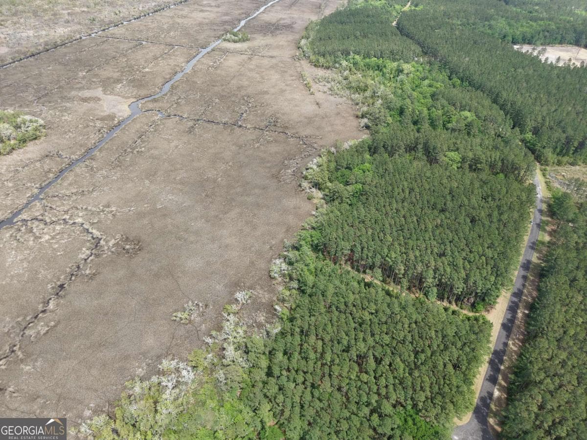 residential lot for sale at LOT 43 La Sole Lane, Waverly, GA 31565 — photo 7