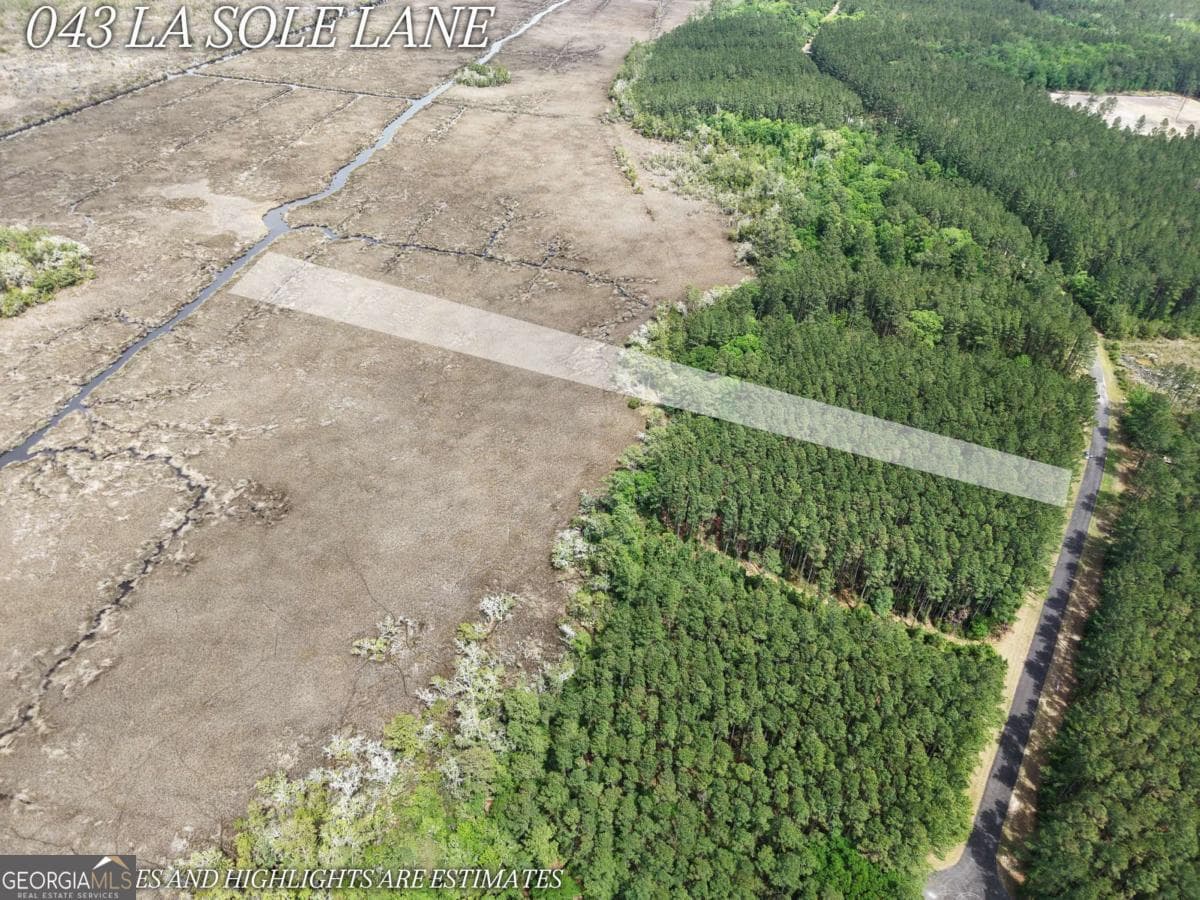 residential lot for sale at LOT 43 La Sole Lane, Waverly, GA 31565 — photo 3
