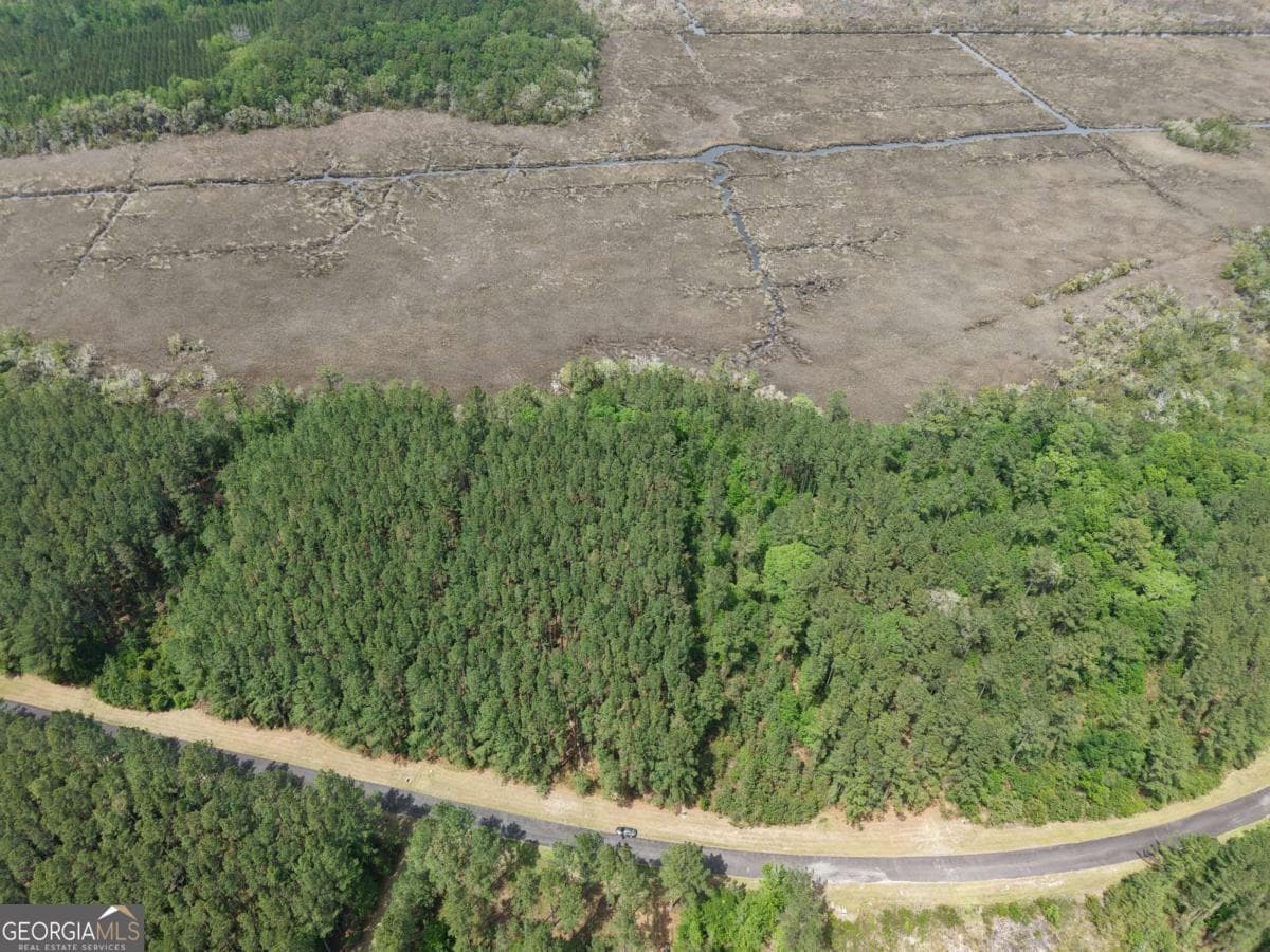 residential lot for sale at LOT 43 La Sole Lane, Waverly, GA 31565 — photo 5