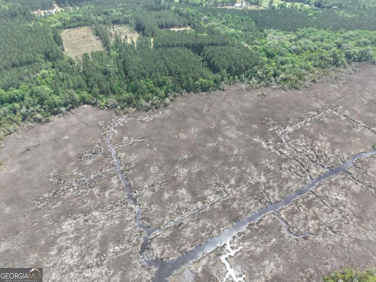 residential lot for sale at LOT 43 La Sole Lane, Waverly, GA 31565 — photo 9