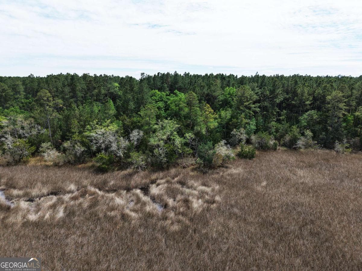 residential lot for sale at LOT 43 La Sole Lane, Waverly, GA 31565 — photo 10