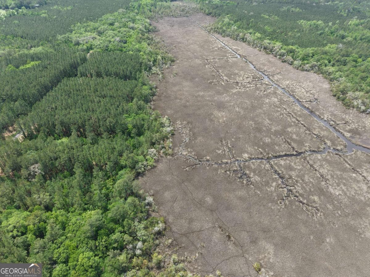 residential lot for sale at LOT 43 La Sole Lane, Waverly, GA 31565 — photo 8