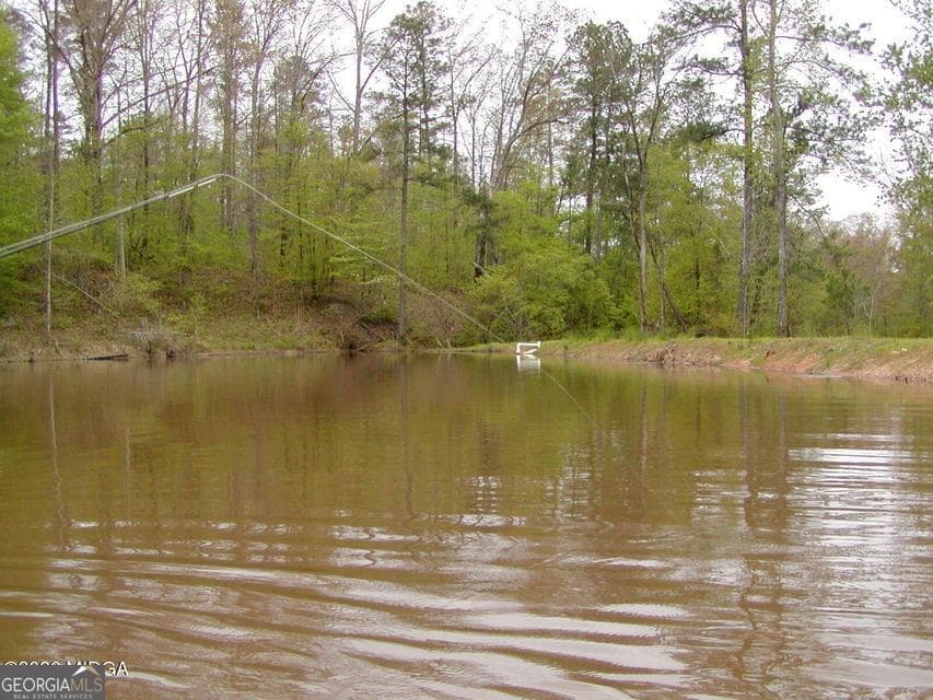 agriculture for sale at 852 Union Hill Church Road, Hillsboro, GA 31038 — photo 6