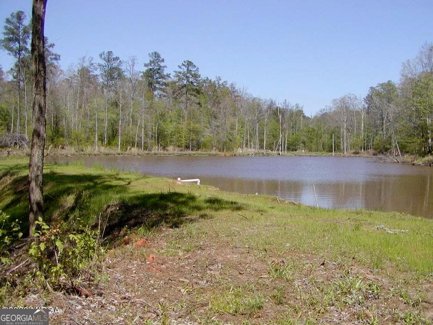 agriculture for sale at 852 Union Hill Church Road, Hillsboro, GA 31038 — photo 5