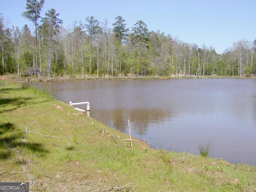 agriculture for sale at 852 Union Hill Church Road, Hillsboro, GA 31038 — photo 4