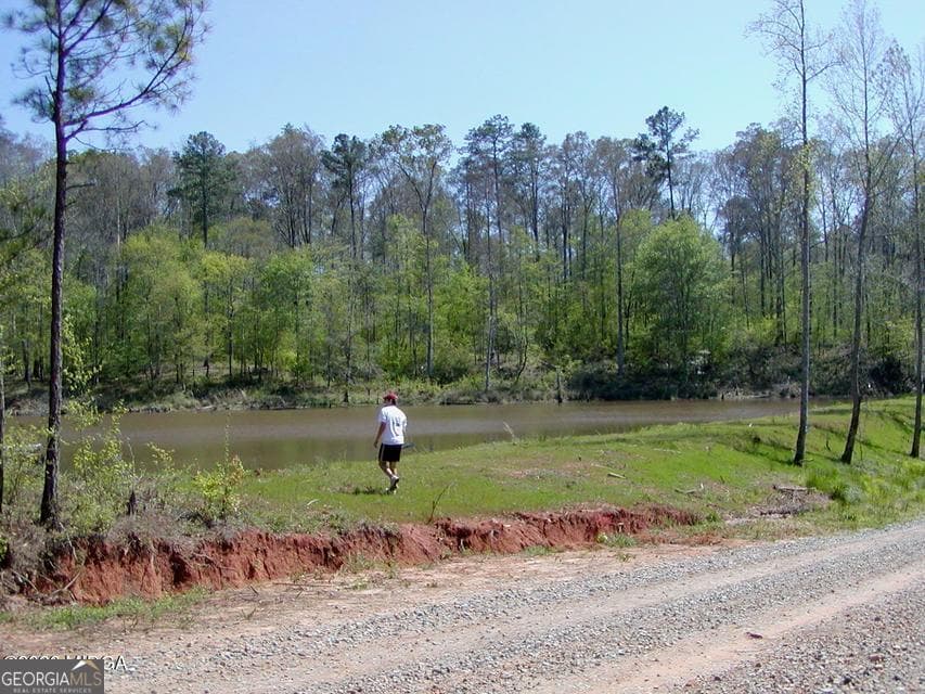 agriculture for sale at 852 Union Hill Church Road, Hillsboro, GA 31038 — photo 8
