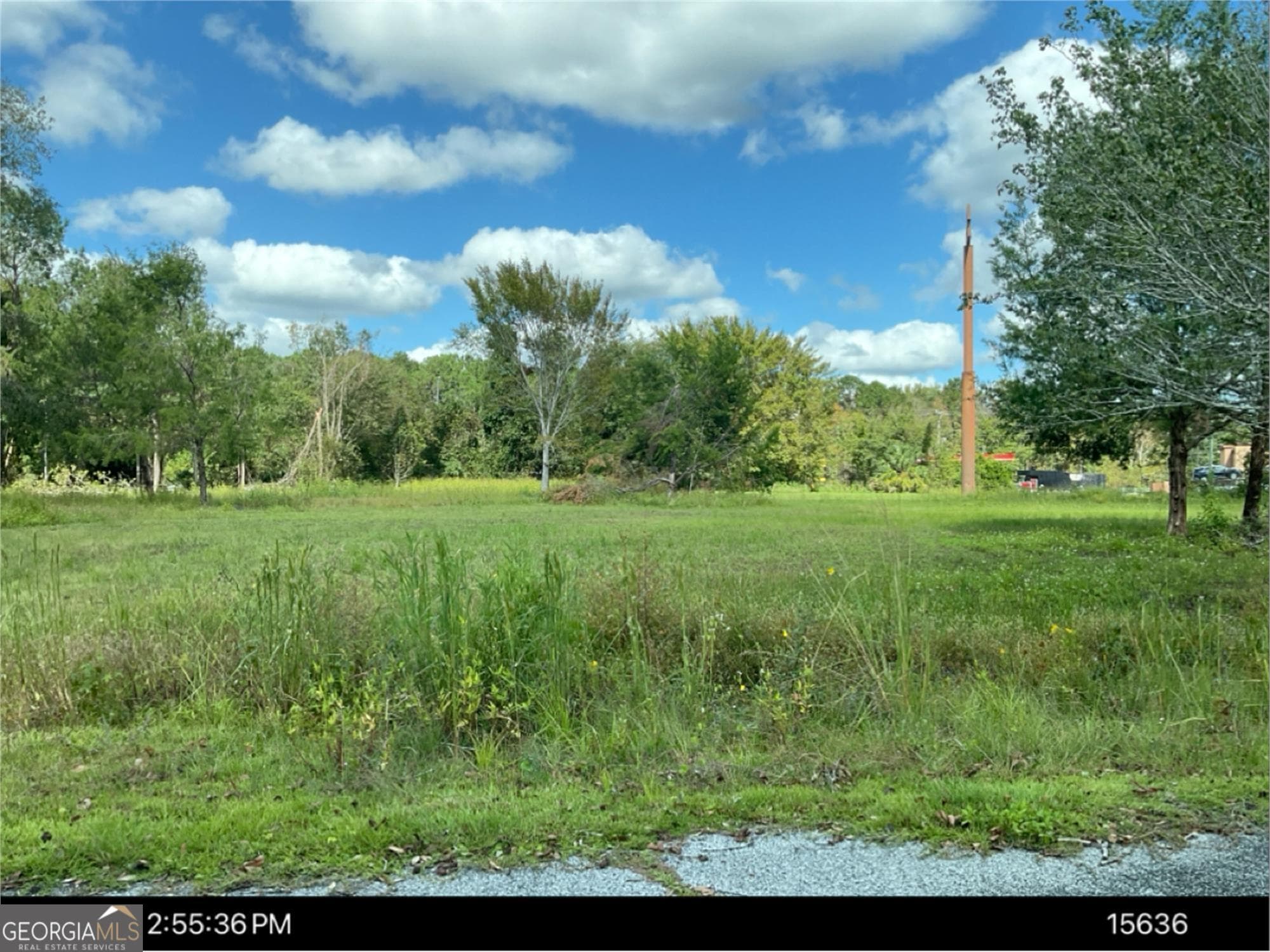 unimproved land for sale at 1890 Harrietts Bluff Road, Woodbine, GA 31569 — photo 2