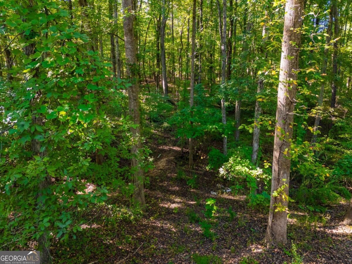 estate lot for sale at 3015 Mars Hill Road, Acworth, GA 30101 — photo 6