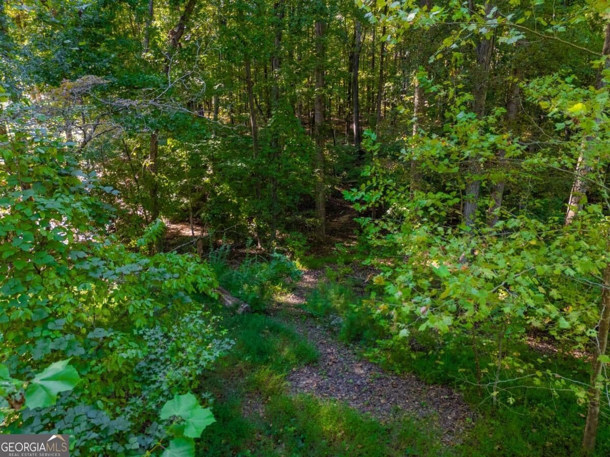 estate lot for sale at 3015 Mars Hill Road, Acworth, GA 30101 — photo 3