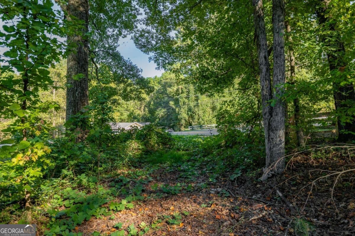 estate lot for sale at 3015 Mars Hill Road, Acworth, GA 30101 — photo 5