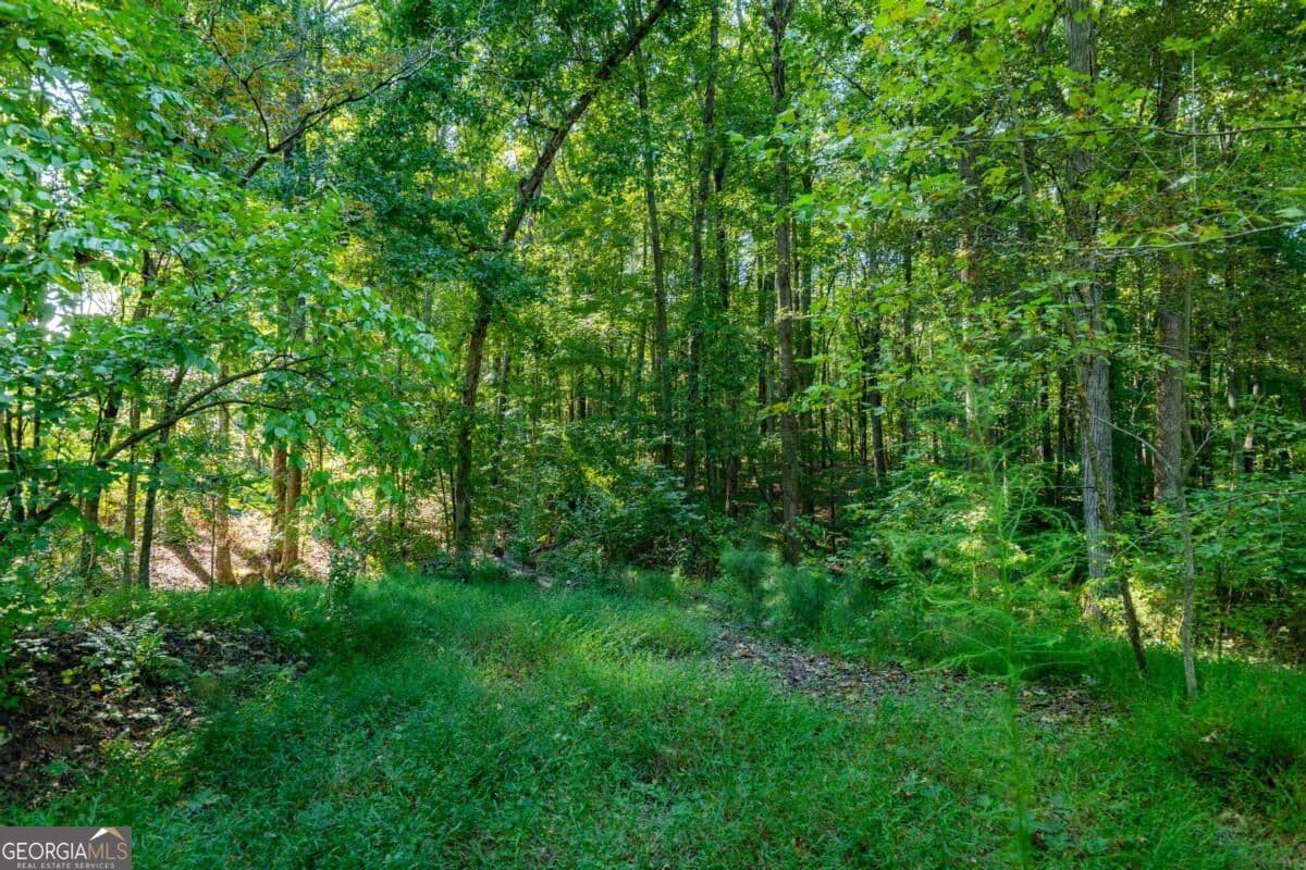 estate lot for sale at 3015 Mars Hill Road, Acworth, GA 30101 — photo 10