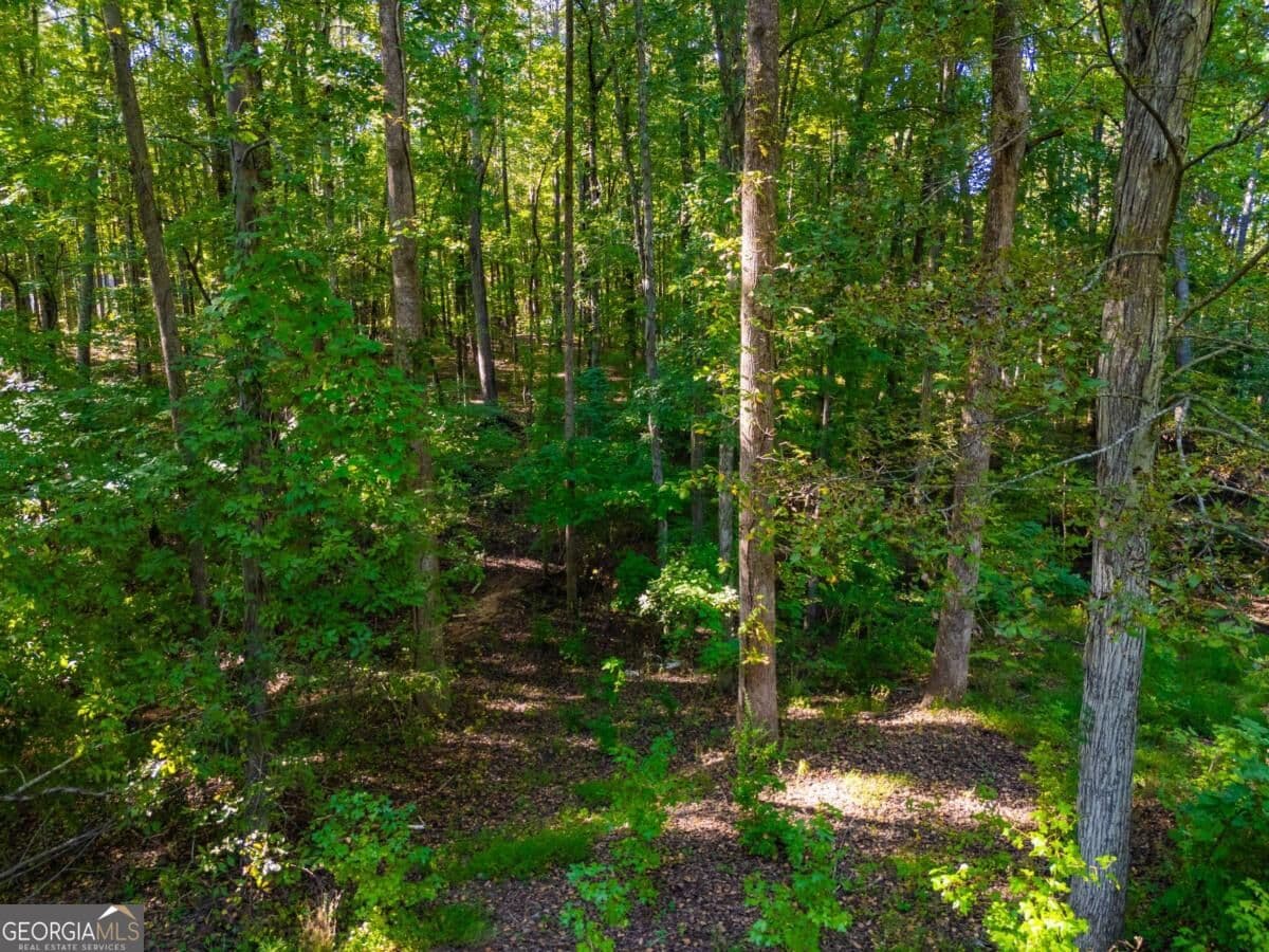 estate lot for sale at 3015 Mars Hill Road, Acworth, GA 30101 — photo 4