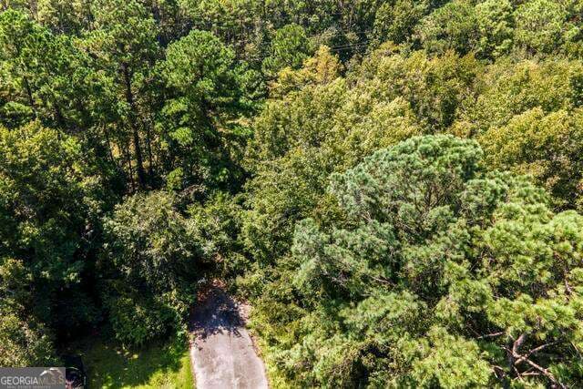residential lot for sale at LOT 6B Dufour Road, St. Marys, GA 31558 — photo 9