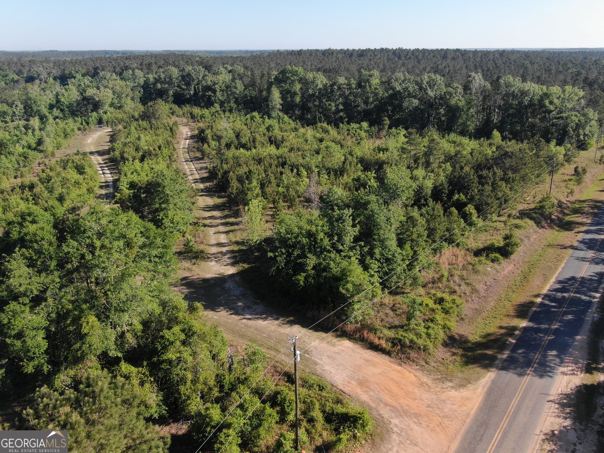 unimproved land for sale at 1451 Dr Mann Road, Jacksonville, GA 31544 — photo 2