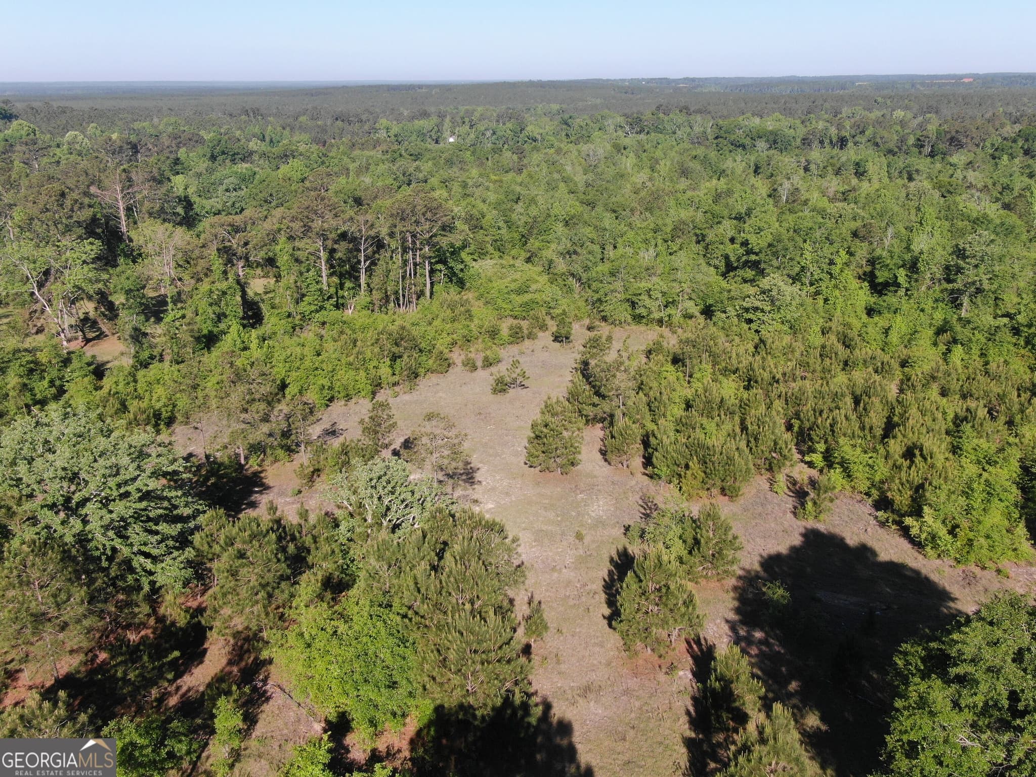 unimproved land for sale at 1451 Dr Mann Road, Jacksonville, GA 31544 — photo 6
