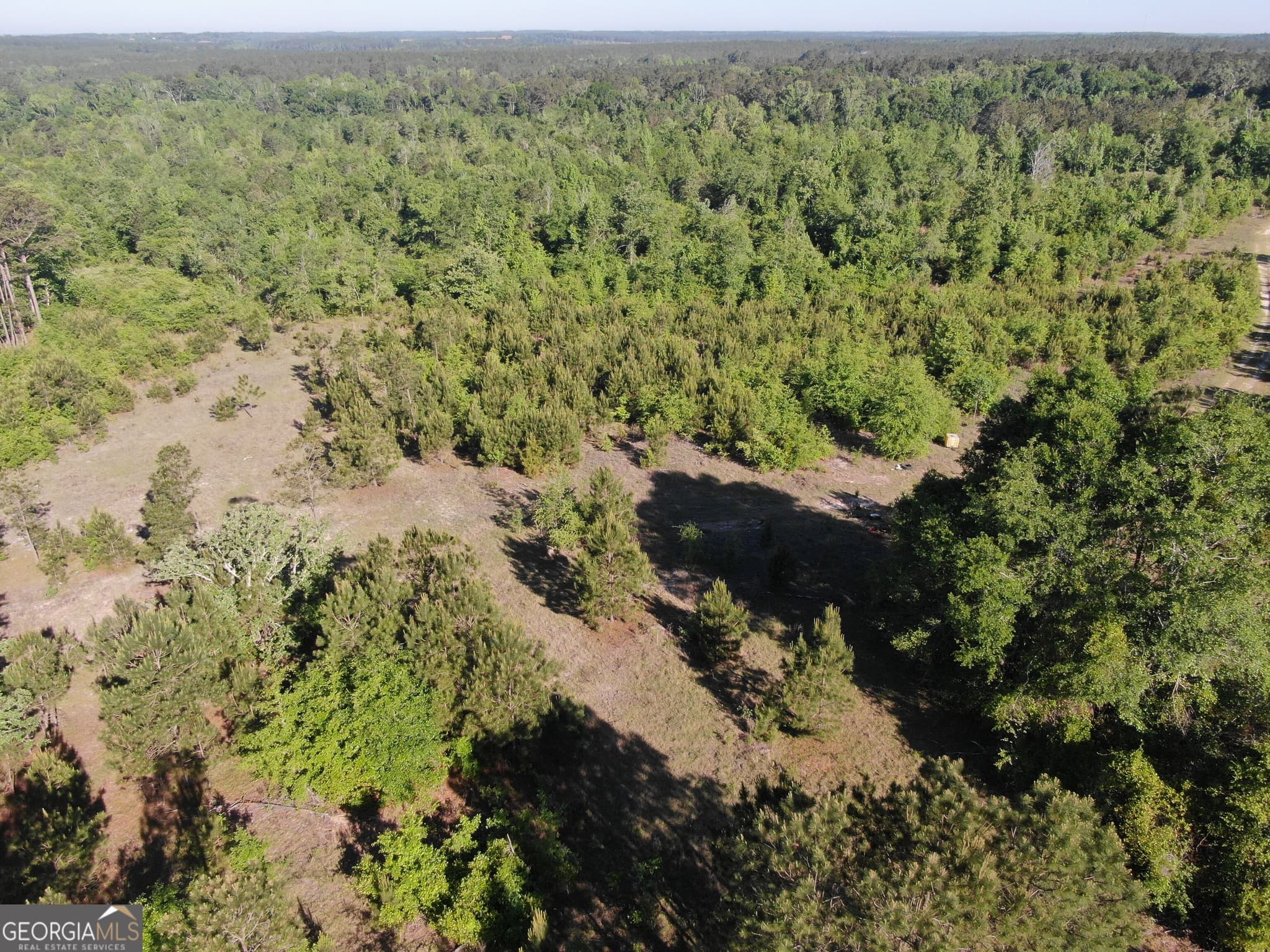 unimproved land for sale at 1451 Dr Mann Road, Jacksonville, GA 31544 — photo 7