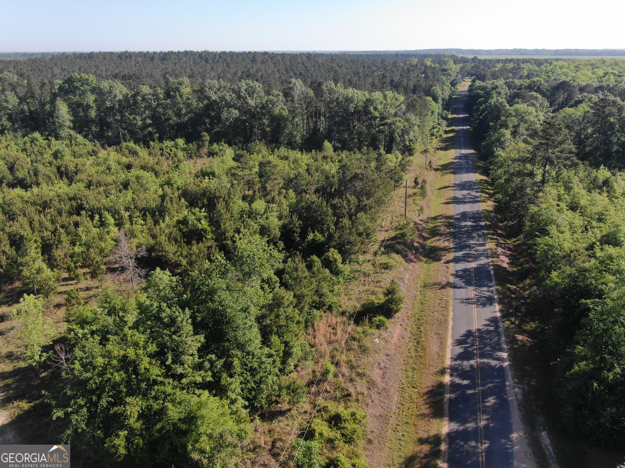 unimproved land for sale at 1451 Dr Mann Road, Jacksonville, GA 31544 — photo 3