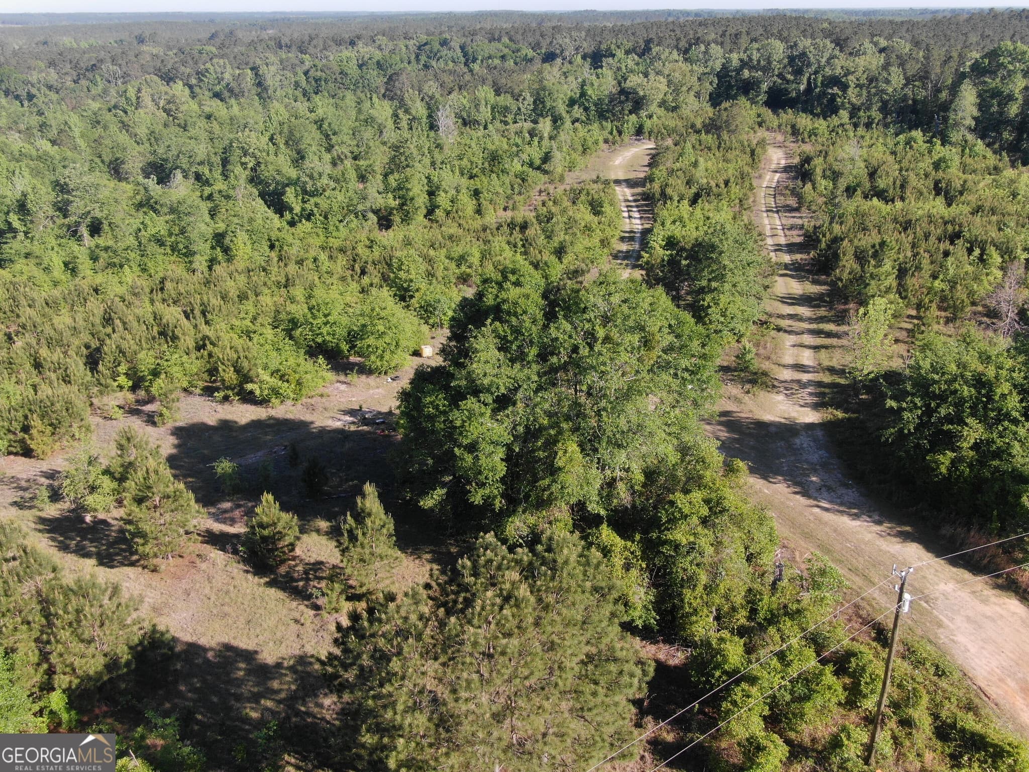 unimproved land for sale at 1451 Dr Mann Road, Jacksonville, GA 31544