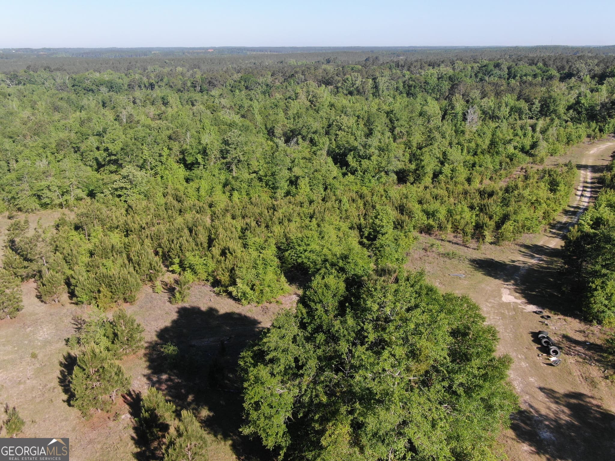 unimproved land for sale at 1451 Dr Mann Road, Jacksonville, GA 31544 — photo 5