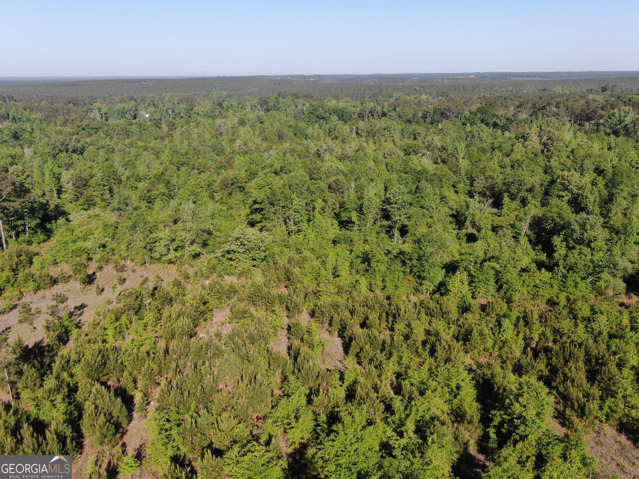 unimproved land for sale at 1451 Dr Mann Road, Jacksonville, GA 31544 — photo 9