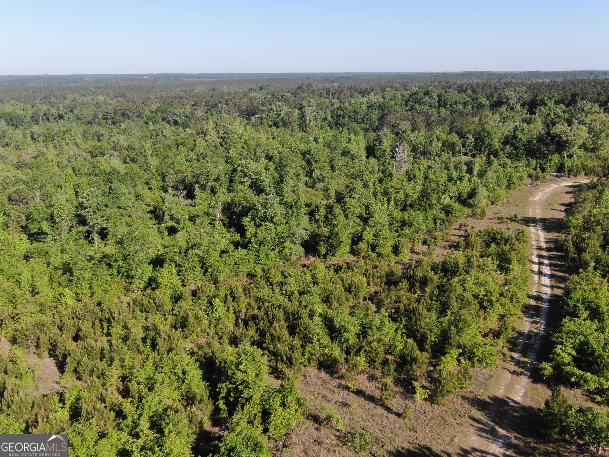unimproved land for sale at 1451 Dr Mann Road, Jacksonville, GA 31544 — photo 10
