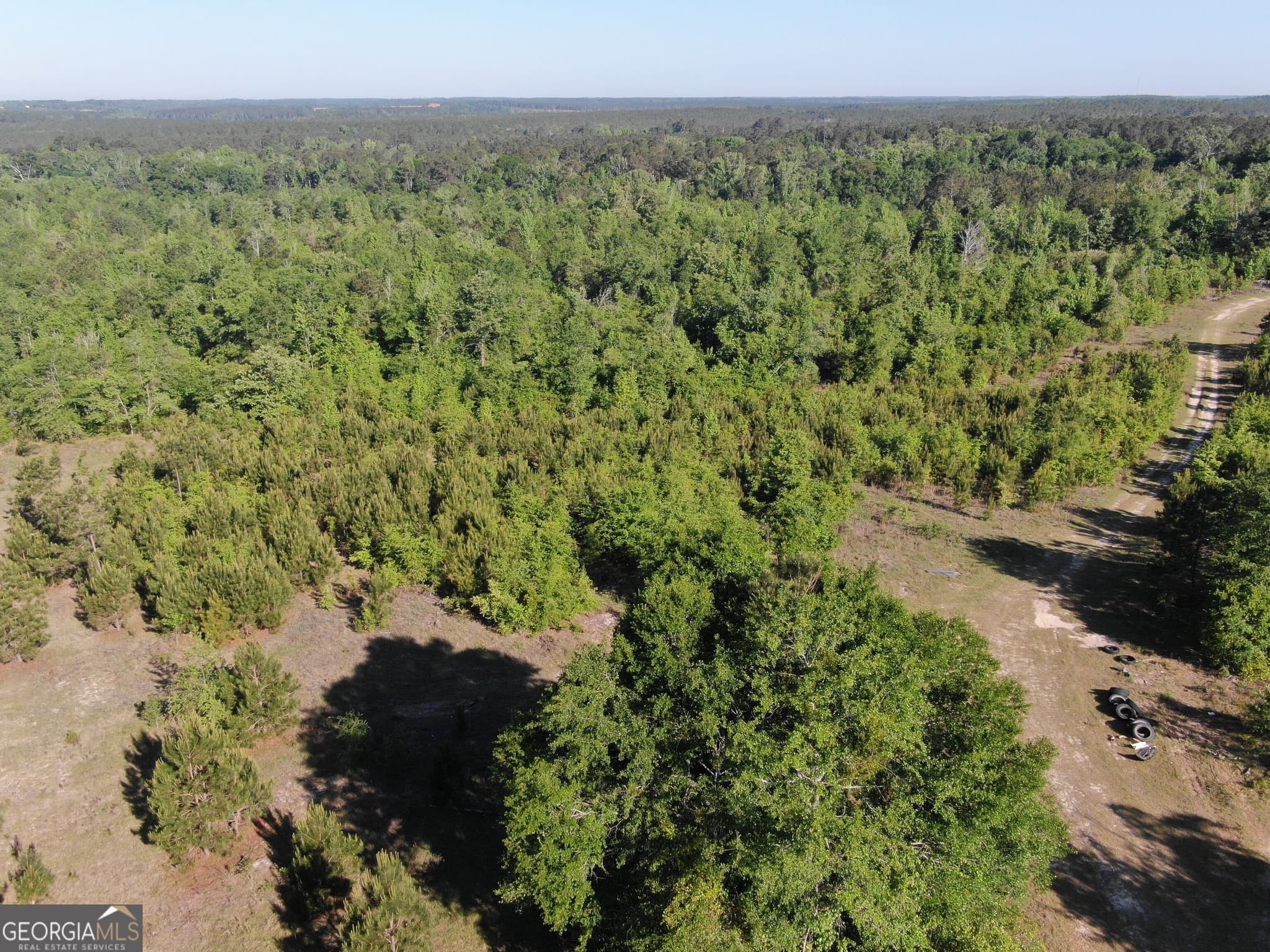 unimproved land for sale at 1451 Dr Mann Road, Jacksonville, GA 31544 — photo 4