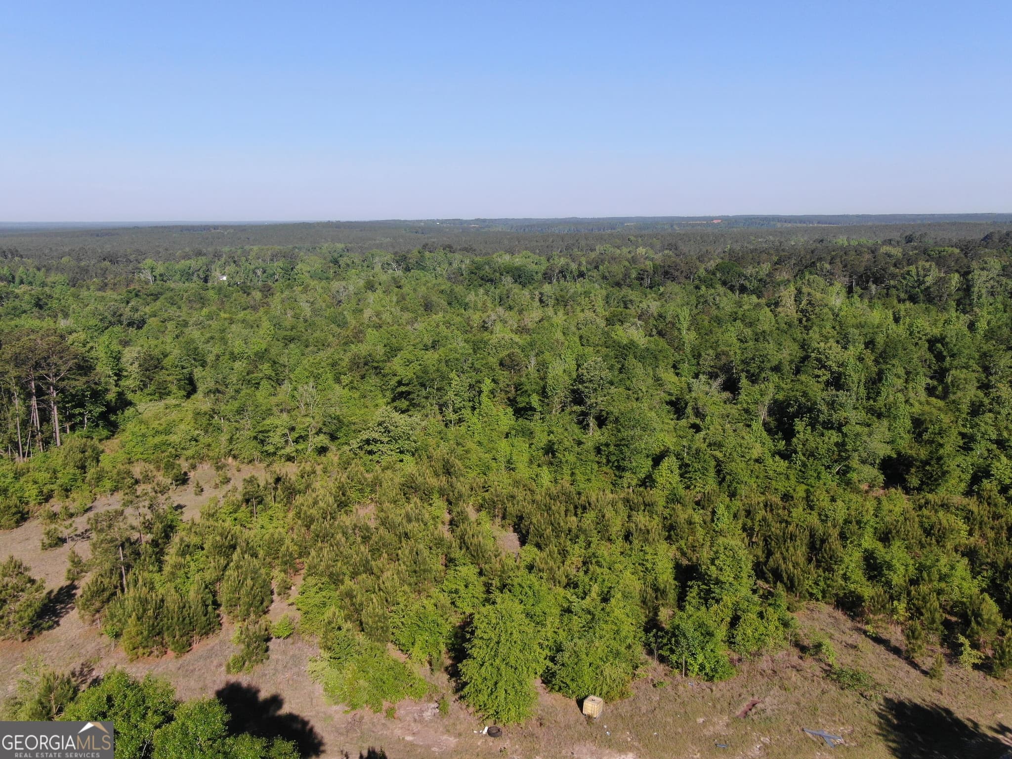 unimproved land for sale at 1451 Dr Mann Road, Jacksonville, GA 31544 — photo 8