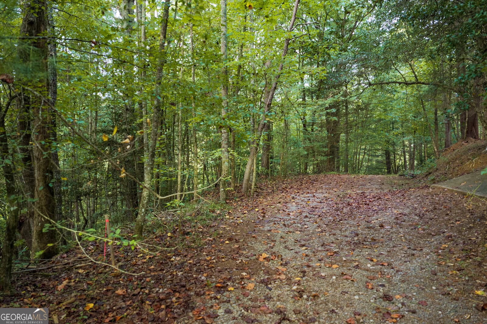 residential lot for sale at LT14-17 Conasauga Drive, Ellijay, GA 30540 — photo 2