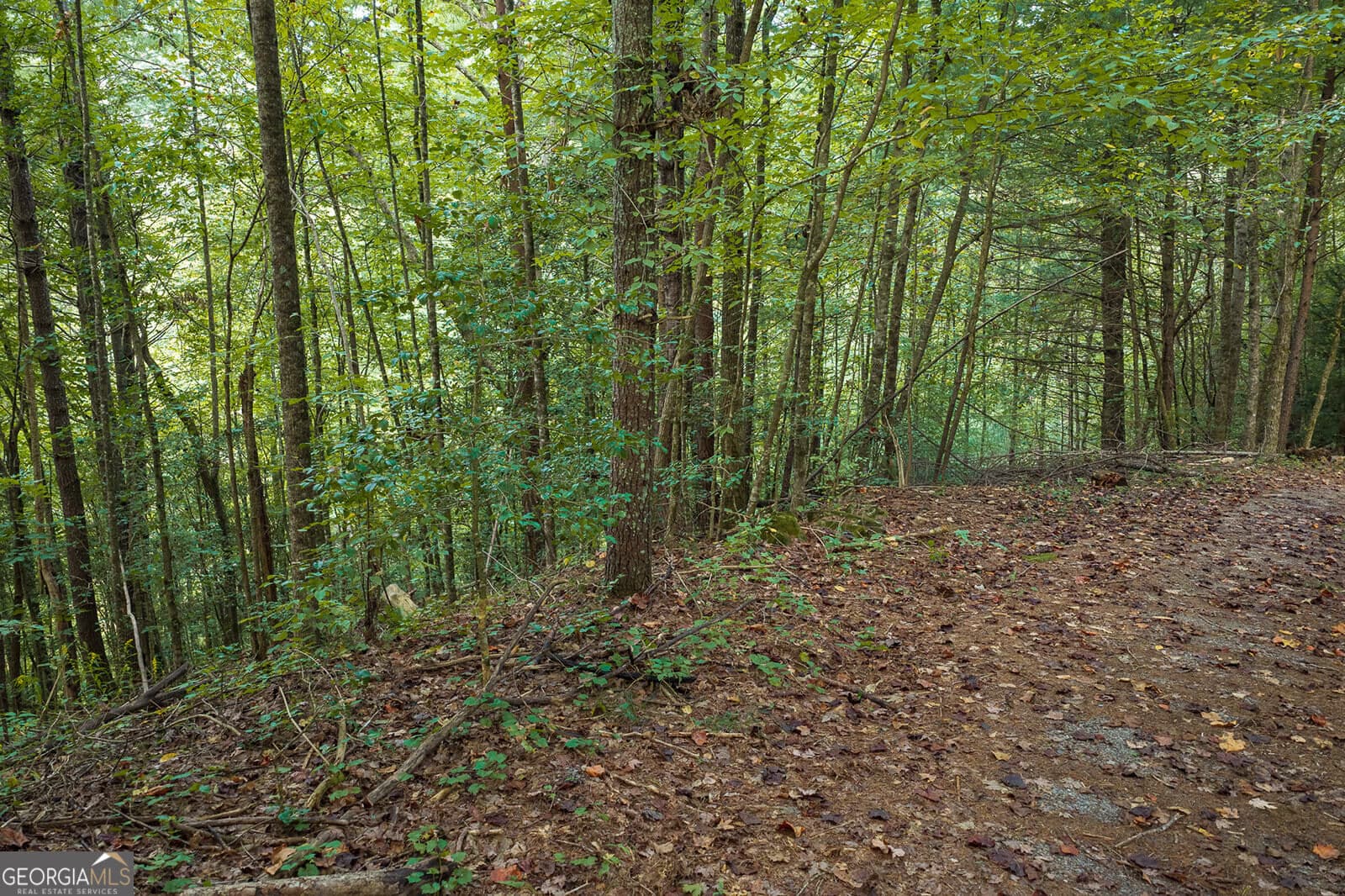 residential lot for sale at LT14-17 Conasauga Drive, Ellijay, GA 30540 — photo 6