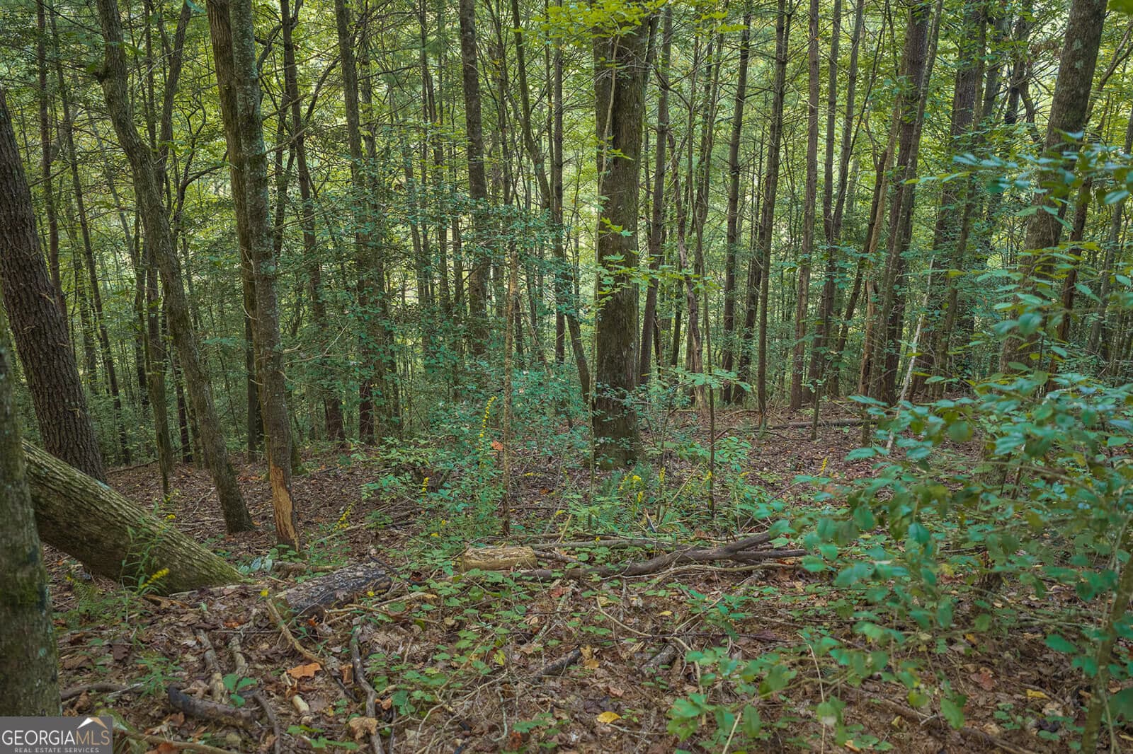 residential lot for sale at LT14-17 Conasauga Drive, Ellijay, GA 30540 — photo 7