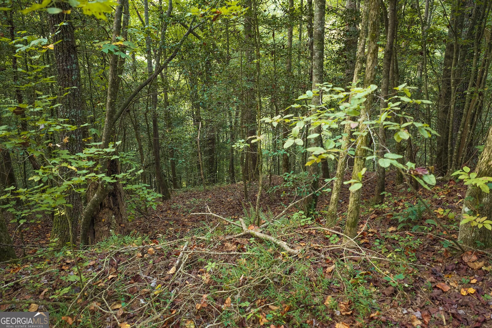 residential lot for sale at LT14-17 Conasauga Drive, Ellijay, GA 30540 — photo 3