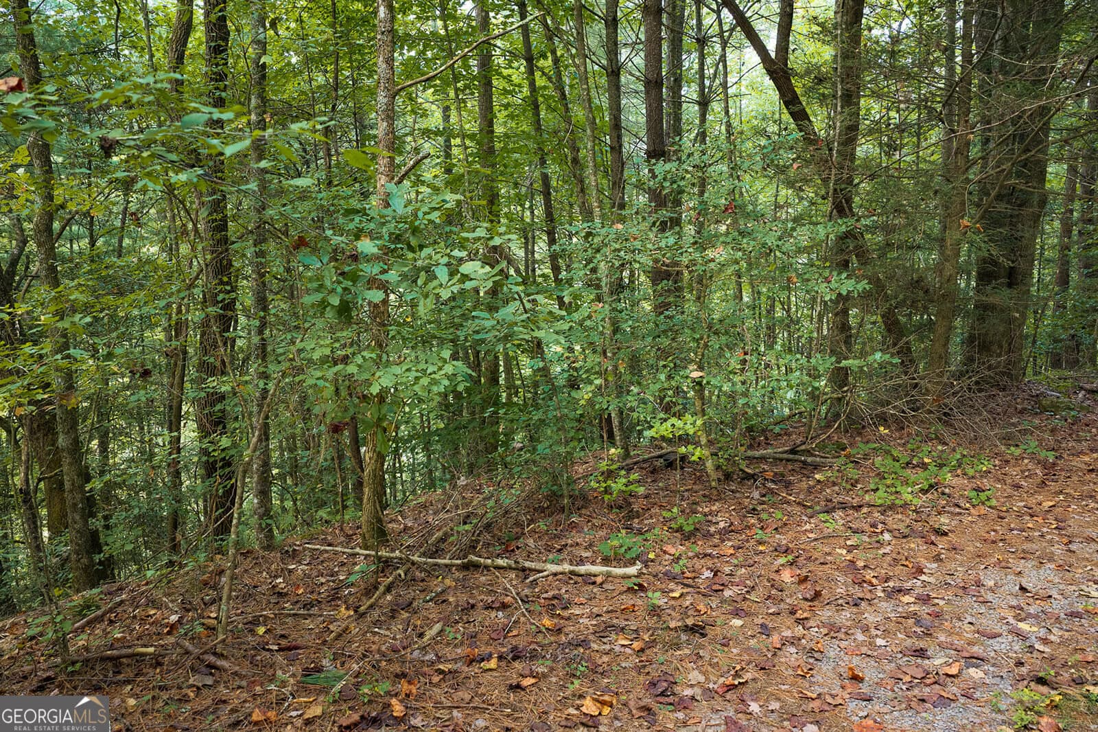 residential lot for sale at LT14-17 Conasauga Drive, Ellijay, GA 30540 — photo 5