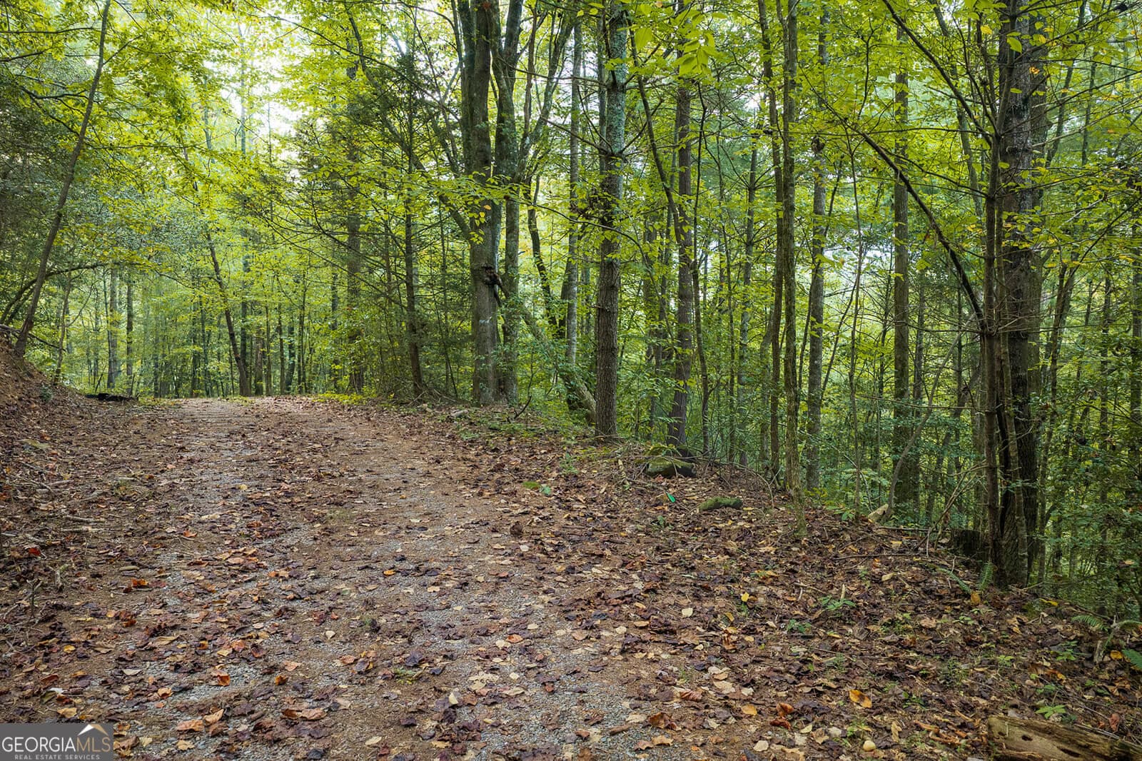 residential lot for sale at LT14-17 Conasauga Drive, Ellijay, GA 30540 — photo 9