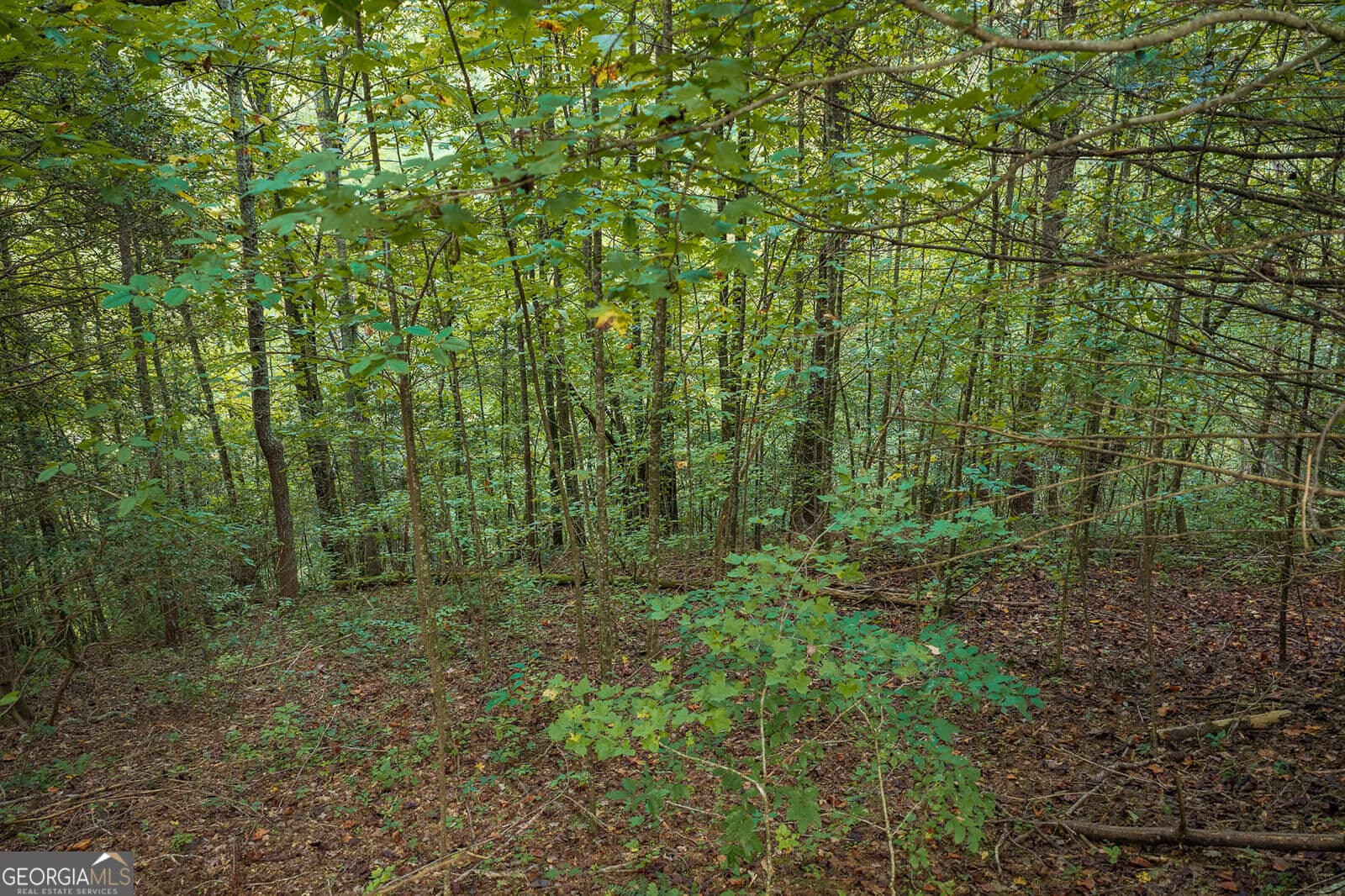 residential lot for sale at LT14-17 Conasauga Drive, Ellijay, GA 30540 — photo 10