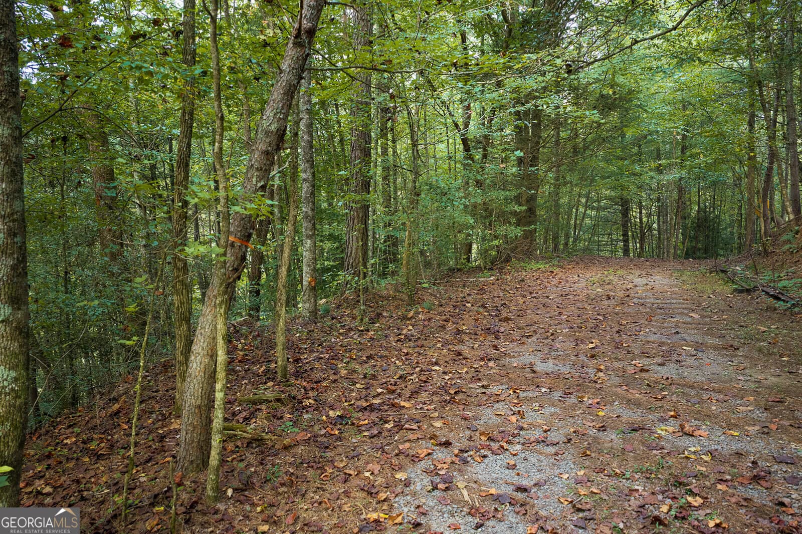 residential lot for sale at LT14-17 Conasauga Drive, Ellijay, GA 30540 — photo 4