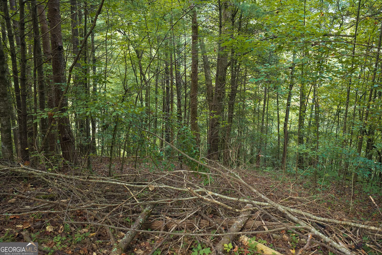 residential lot for sale at LT14-17 Conasauga Drive, Ellijay, GA 30540 — photo 8