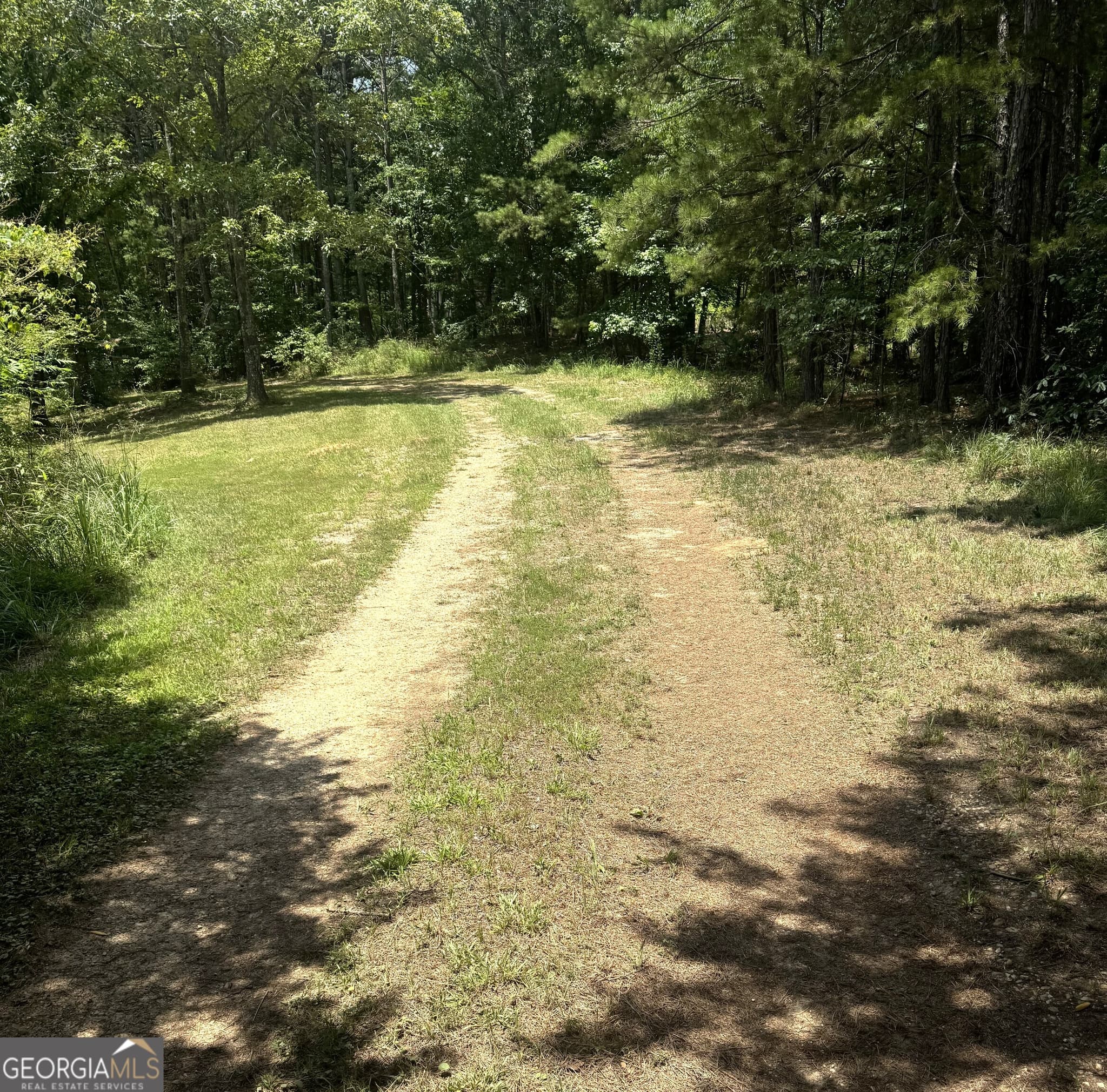 unimproved land for sale at 0 Co Rd 61, Fruithurst, AL 36262 — photo 2