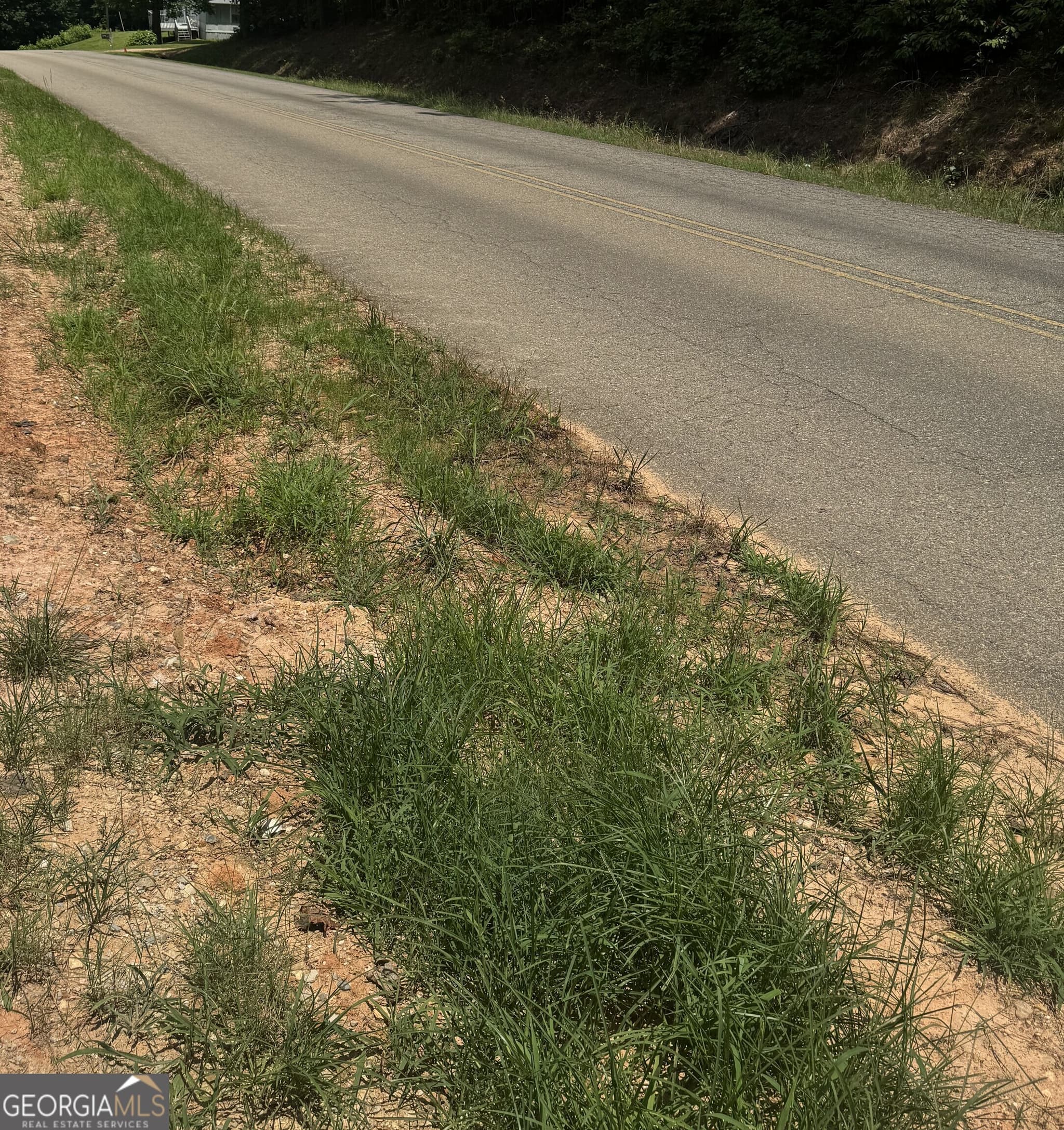 unimproved land for sale at 0 Co Rd 61, Fruithurst, AL 36262 — photo 6