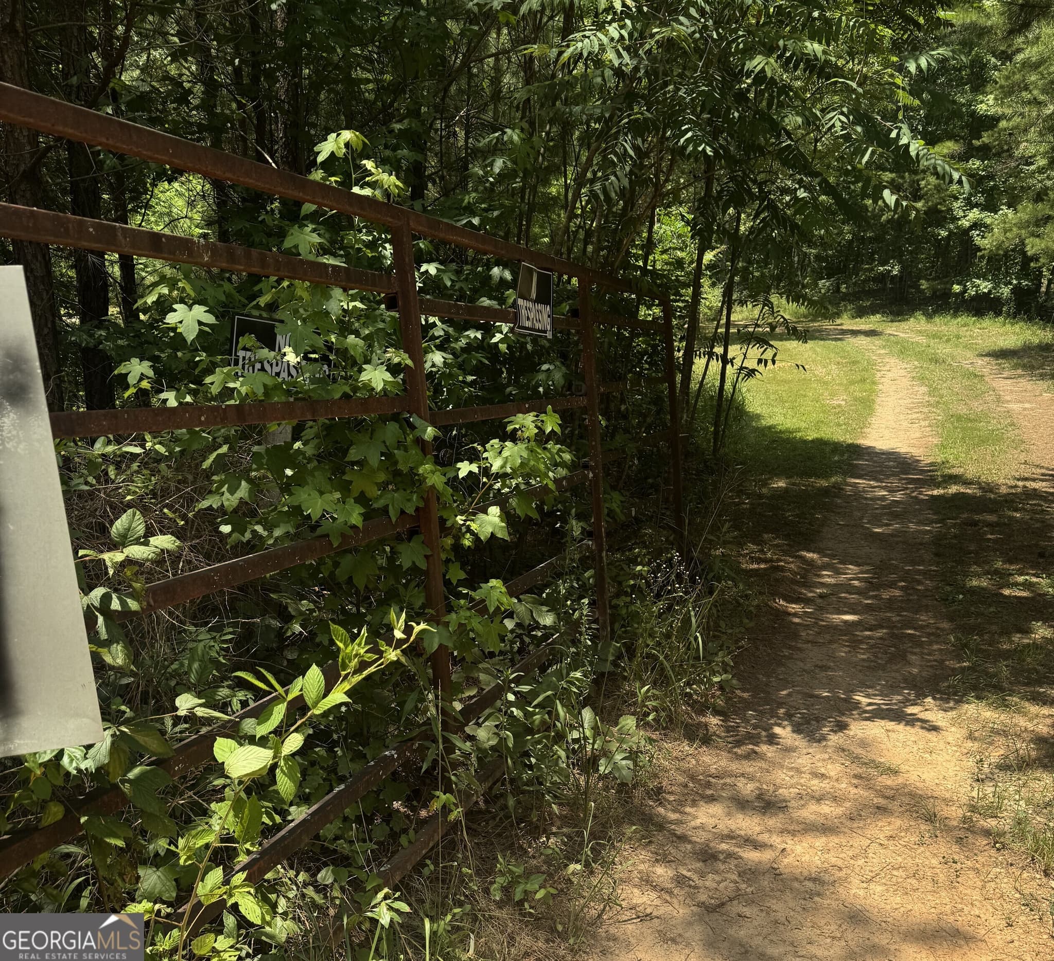unimproved land for sale at 0 Co Rd 61, Fruithurst, AL 36262 — photo 1 of 6