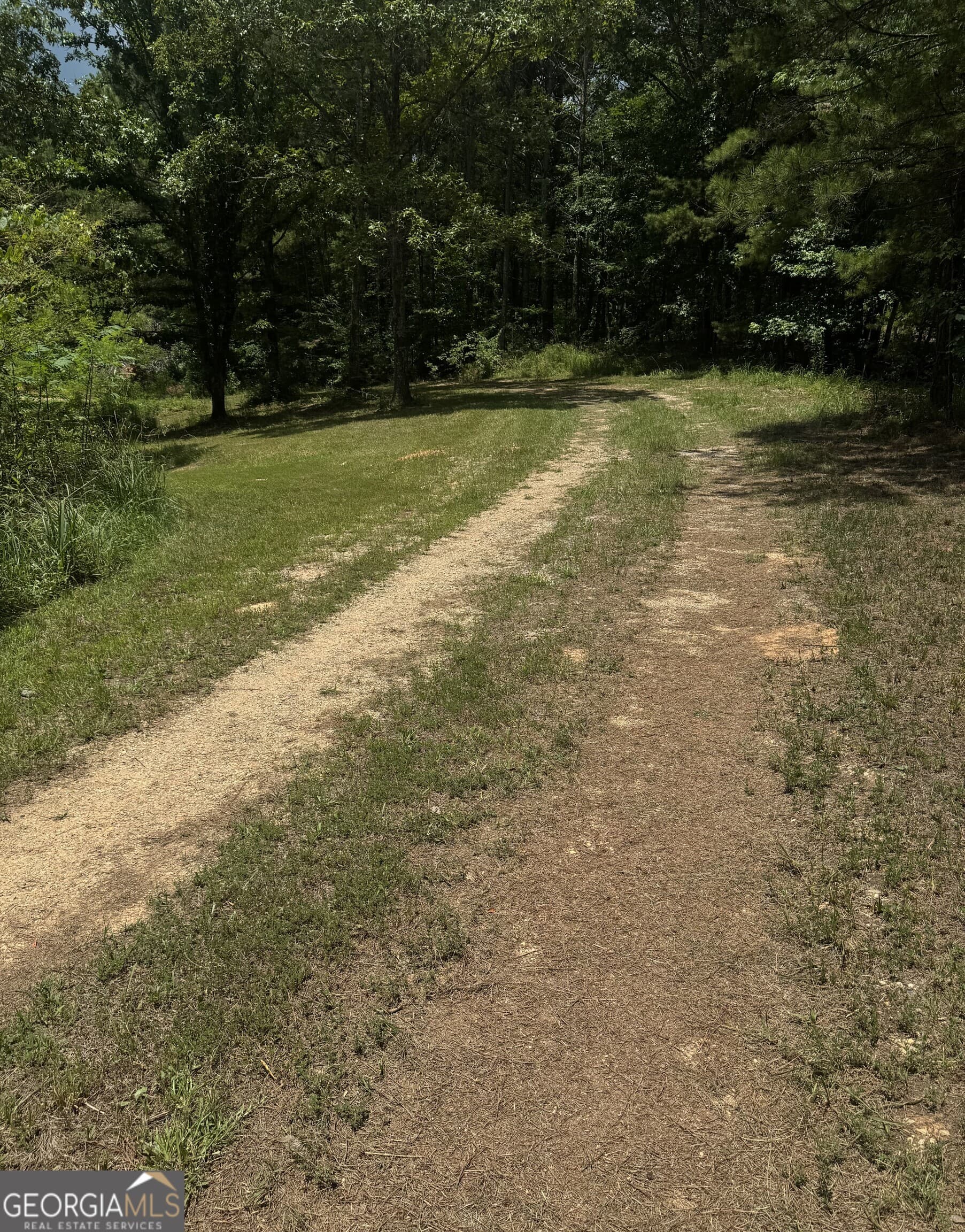 unimproved land for sale at 0 Co Rd 61, Fruithurst, AL 36262 — photo 5