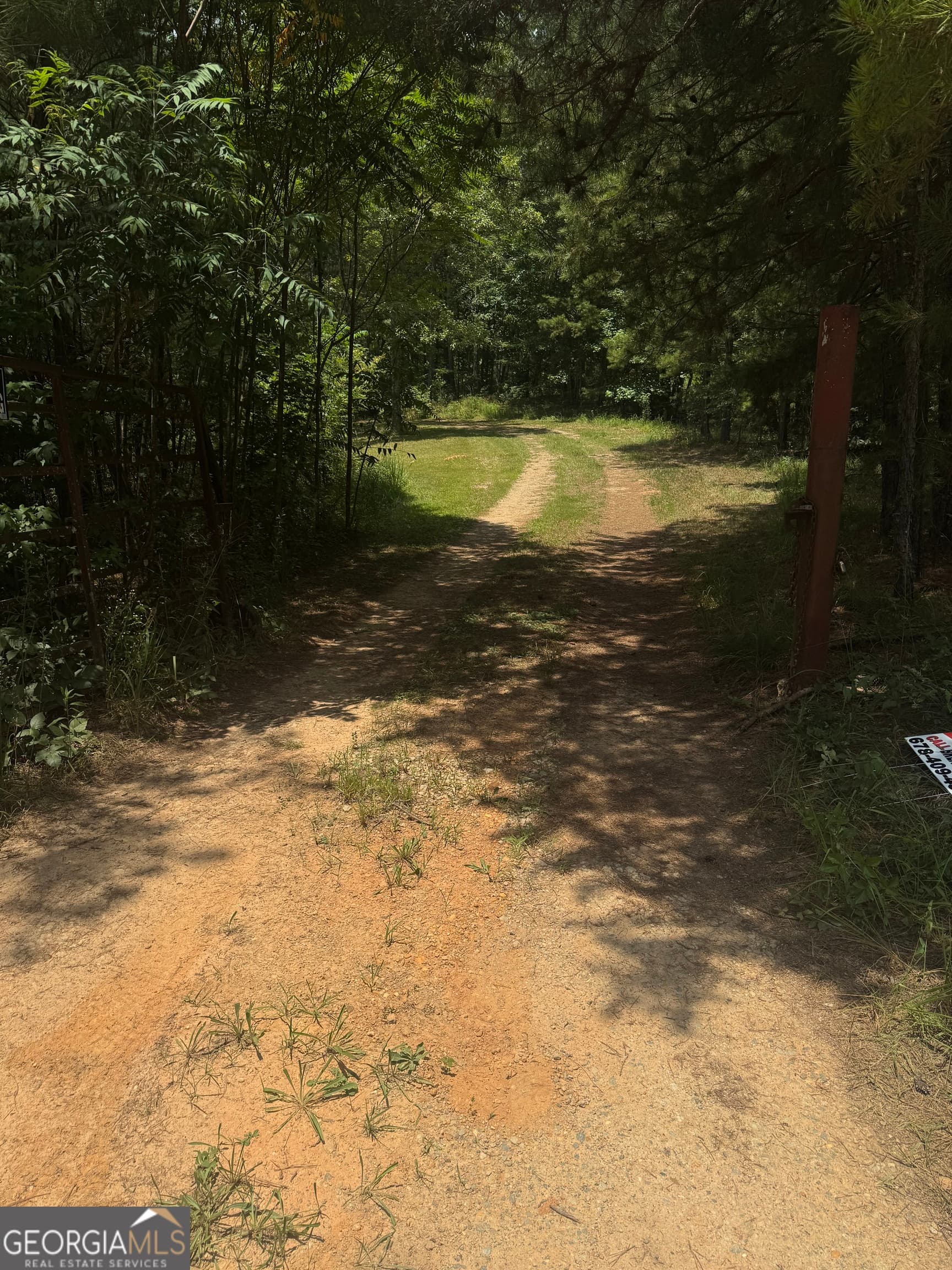 unimproved land for sale at 0 Co Rd 61, Fruithurst, AL 36262 — photo 4