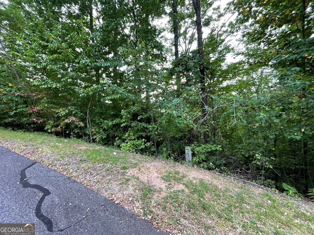 residential lot for sale at LOT 32 J Mountain Harbour, Hayesville, NC 28904 — photo 2