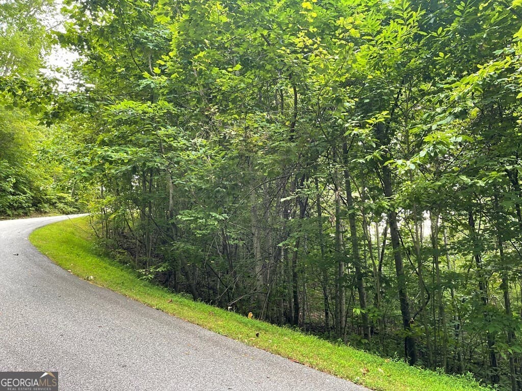 residential lot for sale at LOT 32 J Mountain Harbour, Hayesville, NC 28904 — photo 6