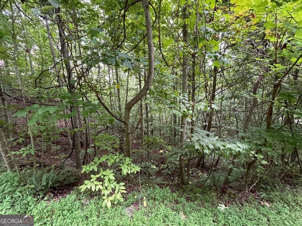 residential lot for sale at LOT 32 J Mountain Harbour, Hayesville, NC 28904 — photo 7