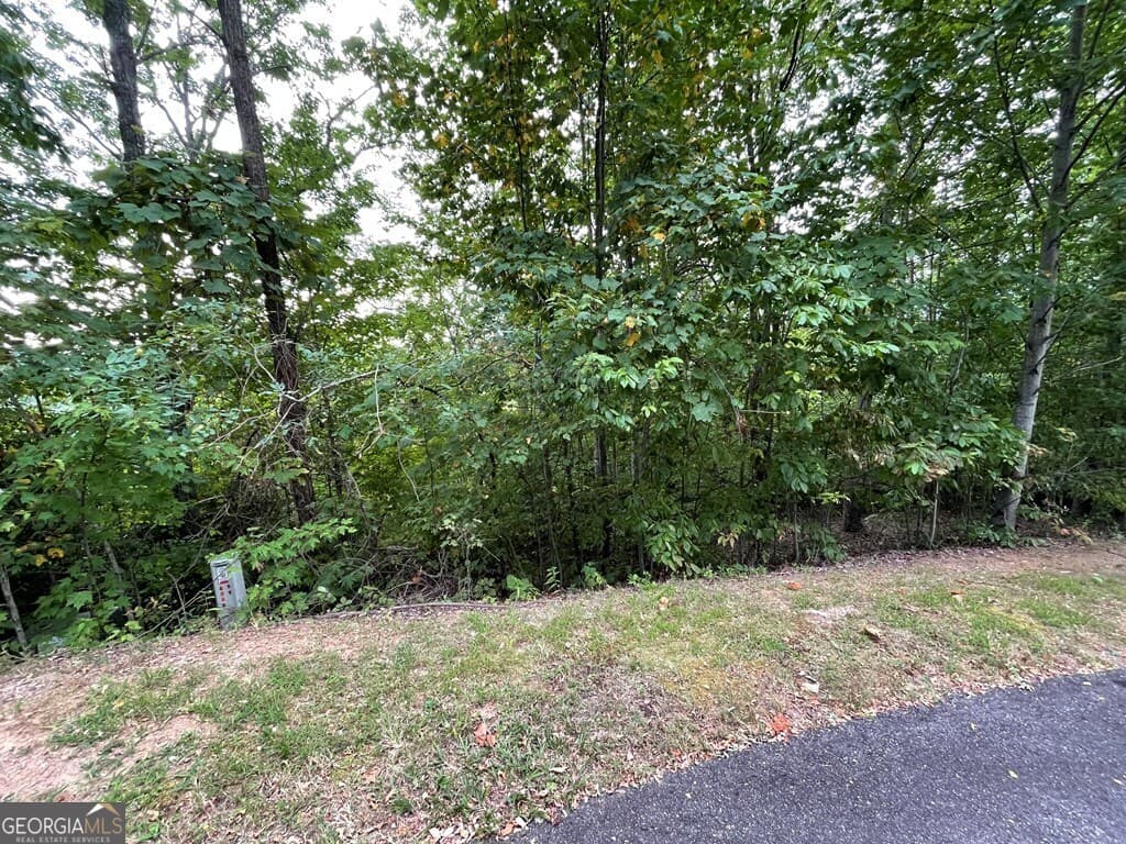 residential lot for sale at LOT 32 J Mountain Harbour, Hayesville, NC 28904 — photo 3