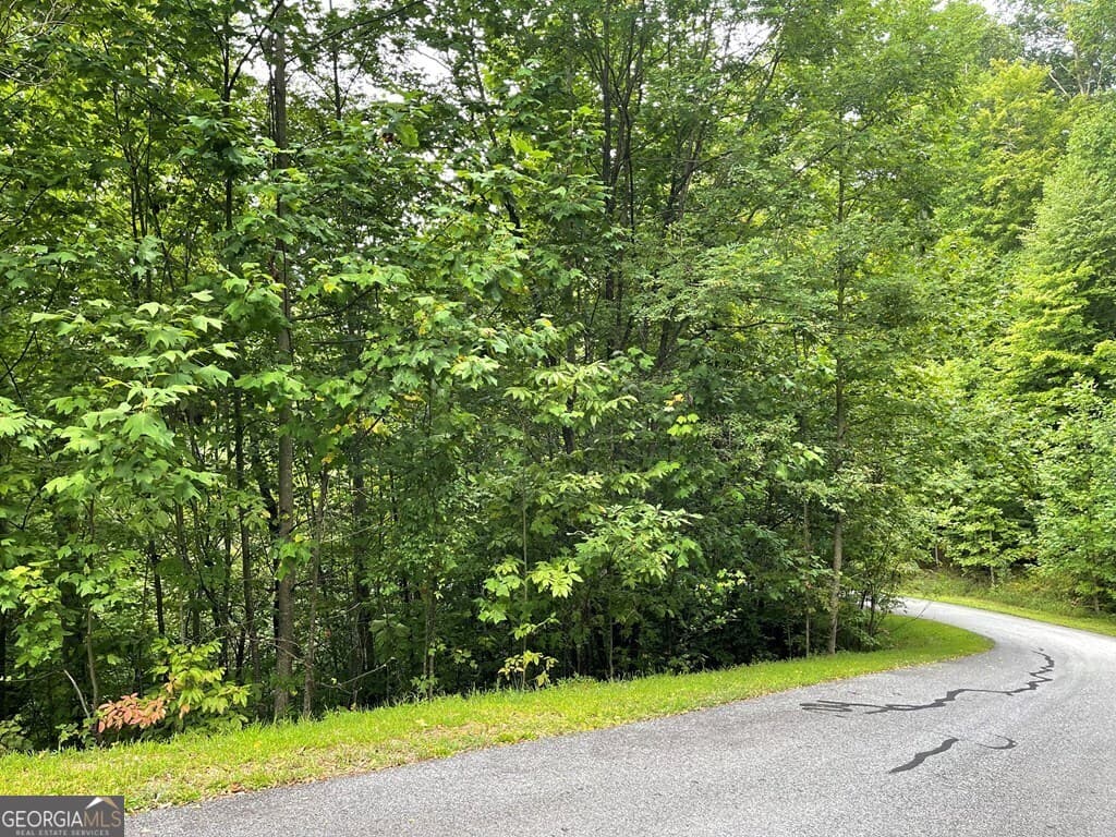 residential lot for sale at LOT 32 J Mountain Harbour, Hayesville, NC 28904 — photo 5