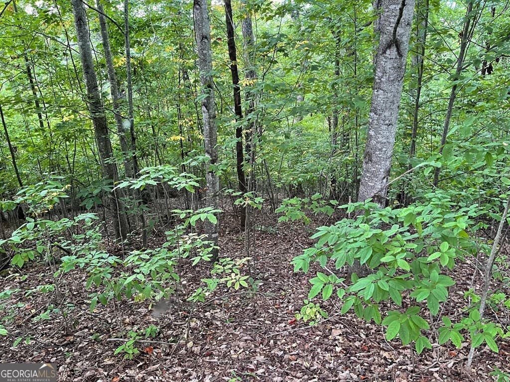 residential lot for sale at LOT 32 J Mountain Harbour, Hayesville, NC 28904 — photo 9