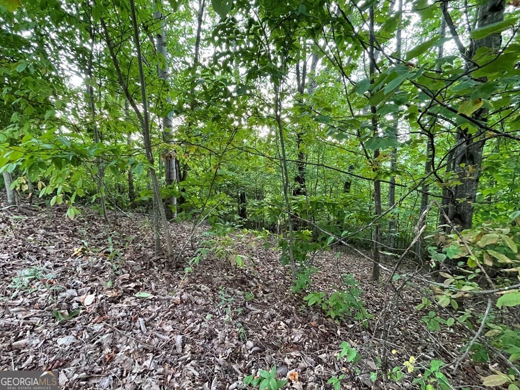 residential lot for sale at LOT 32 J Mountain Harbour, Hayesville, NC 28904 — photo 10