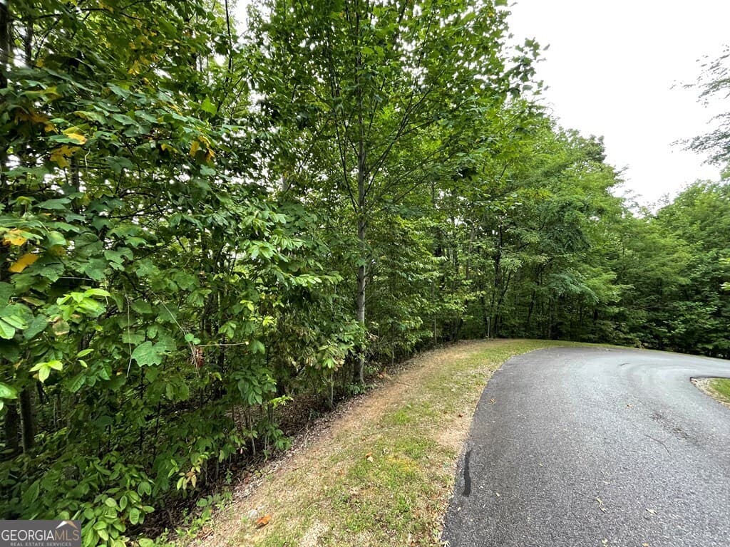 residential lot for sale at LOT 32 J Mountain Harbour, Hayesville, NC 28904 — photo 4